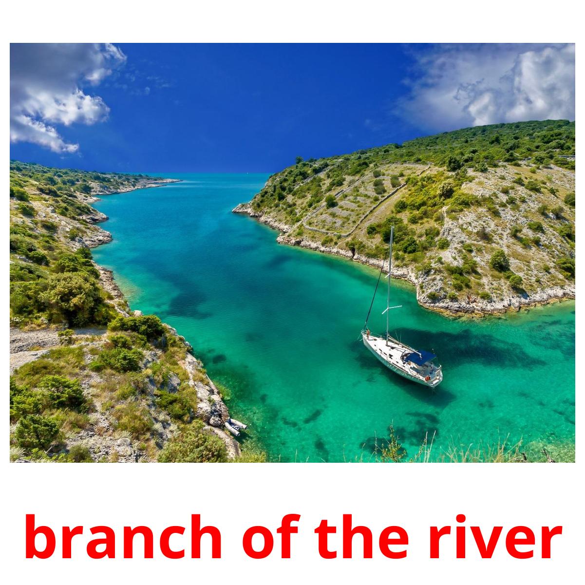 branch of the river picture flashcards