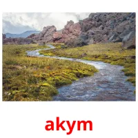 akym cartes flash