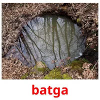 batga cartes flash