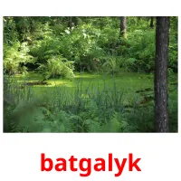 batgalyk cartes flash