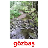 gözbaş cartes flash