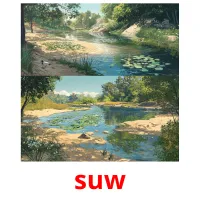 suw cartes flash