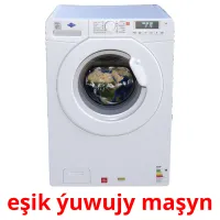 eşik ýuwujy maşyn cartes flash