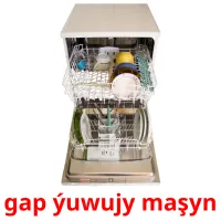 gap ýuwujy maşyn cartes flash