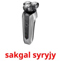 sakgal syryjy cartes flash