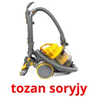 tozan soryjy cartes flash