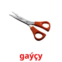 gaýçy kuvakortit