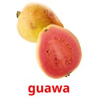 guawa picture flashcards