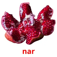 nar Bildkarteikarten