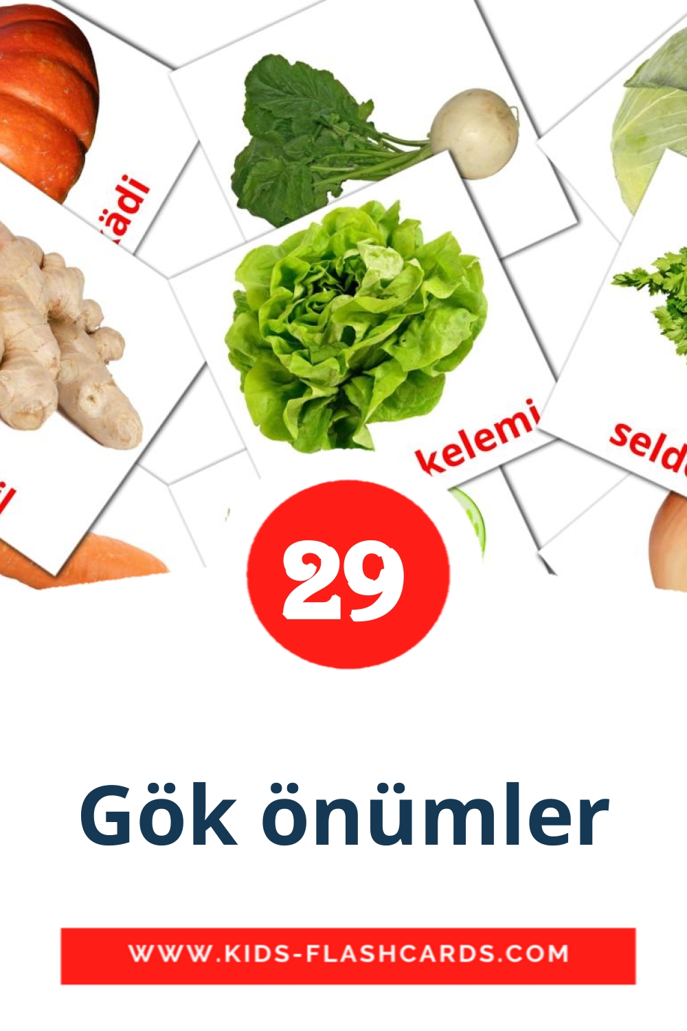 29 Gök önümler Picture Cards for Kindergarden in turkmen
