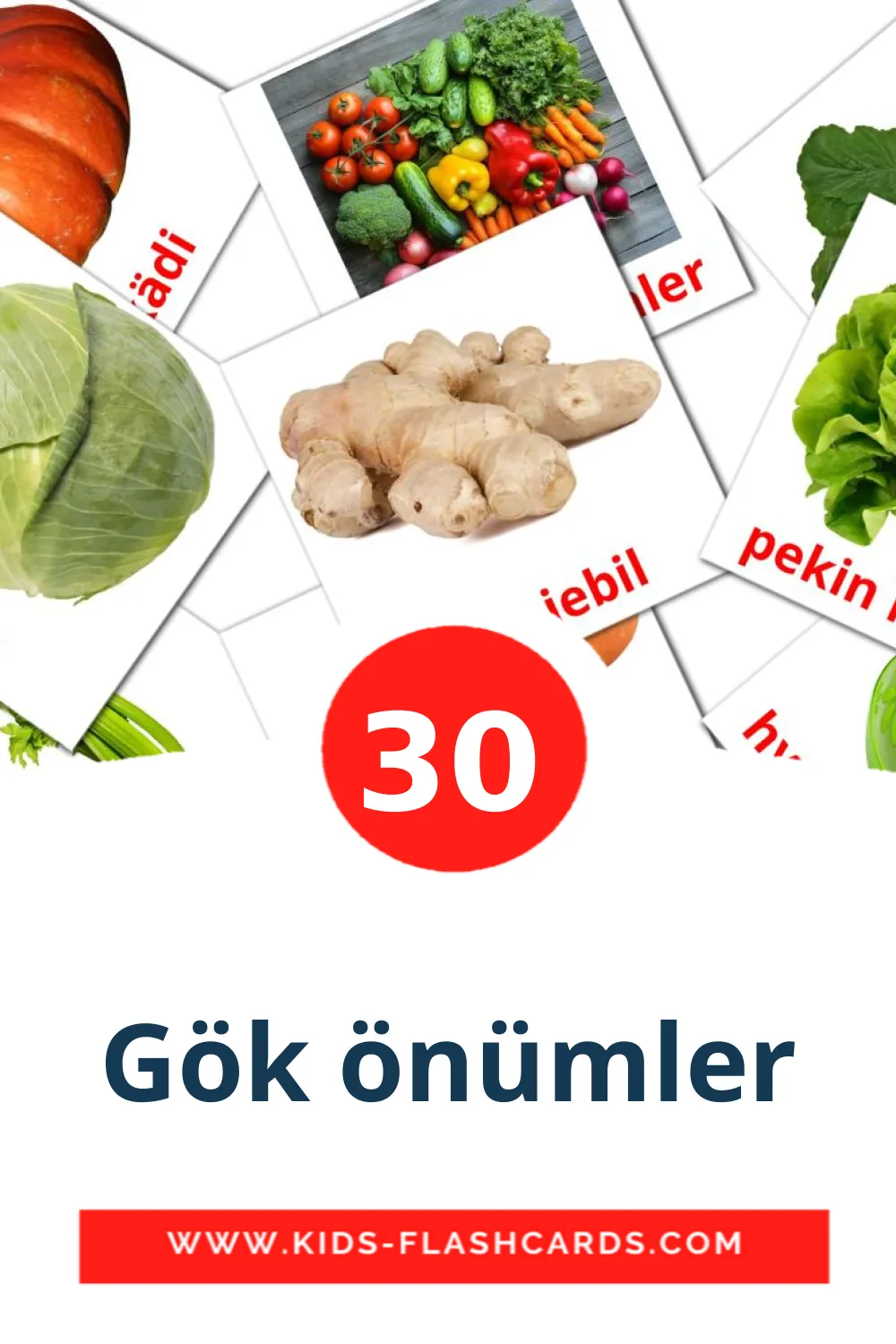 30 Gök önümler Picture Cards for Kindergarden in turkmen