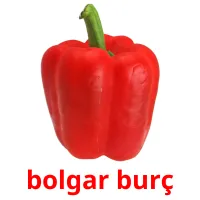 bolgar burç ansichtkaarten