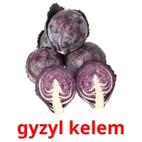 gyzyl kelem picture flashcards