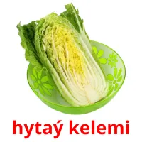 hytaý kelemi ansichtkaarten