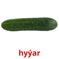hyýar picture flashcards