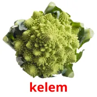 kelem picture flashcards