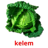 kelem ansichtkaarten