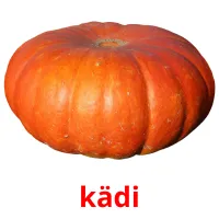 kädi picture flashcards