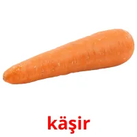 käşir picture flashcards