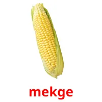 mekge picture flashcards