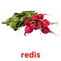 redis picture flashcards