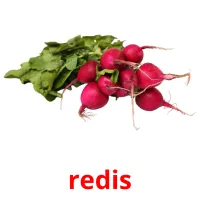 redis picture flashcards