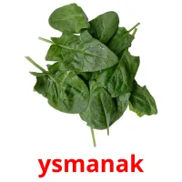 ysmanak picture flashcards