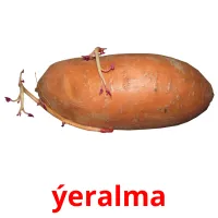 ýeralma picture flashcards