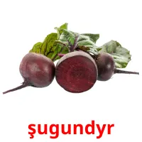 şugundyr ansichtkaarten