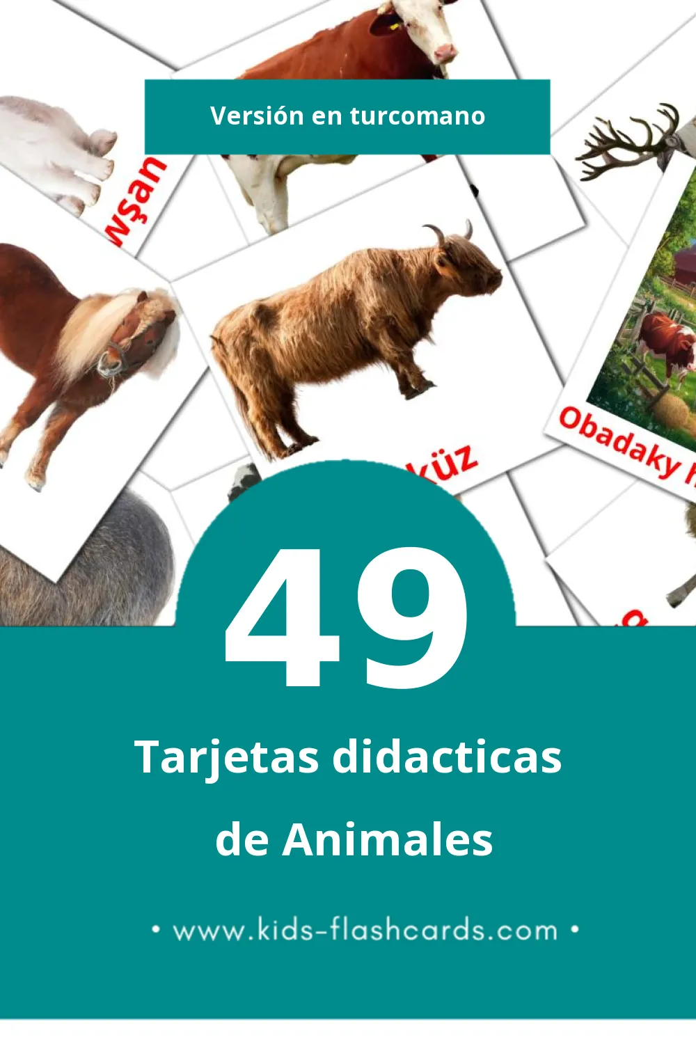 Tarjetas visuales de Haýwanlar para niños pequeños (49 tarjetas en Turcomano)