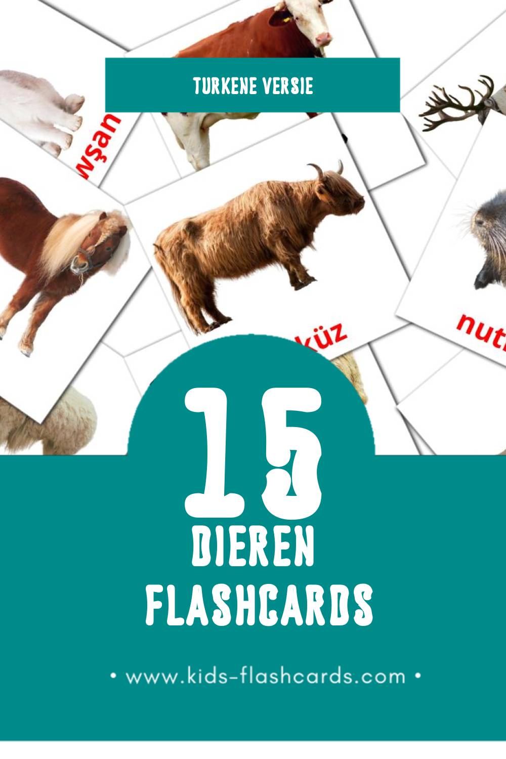 Visuele Haýwanlar Flashcards voor Kleuters (15 kaarten in het Turken)