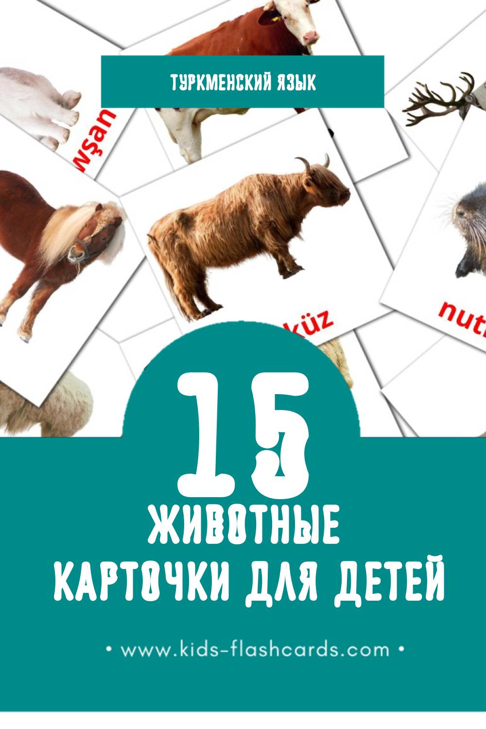 "Haýwanlar" - Визуальный Туркменском Словарь для Малышей (15 картинок)