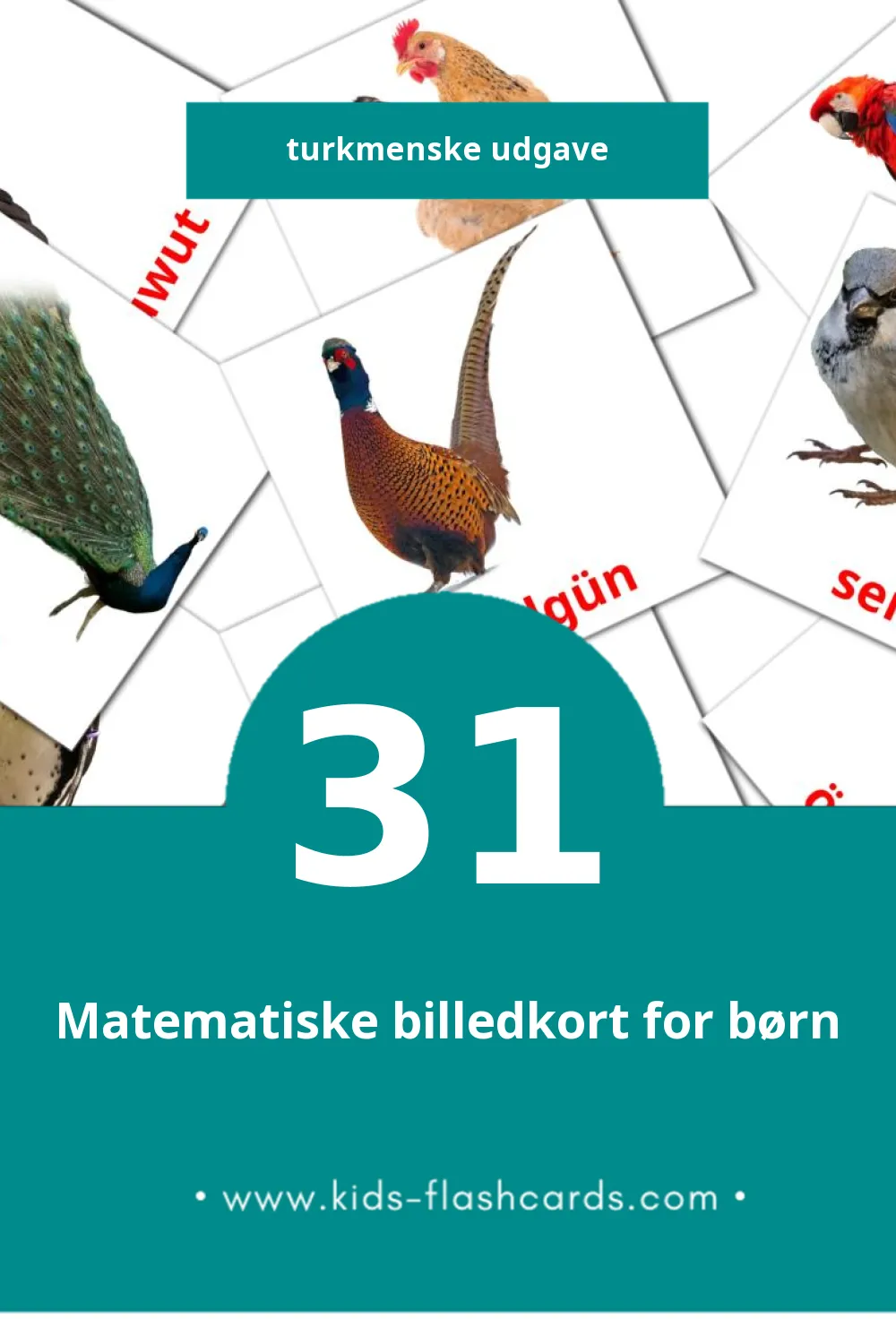 Visuelle billedkort for børn om Guşlar til småbørn (31 kort på Turkmenske)