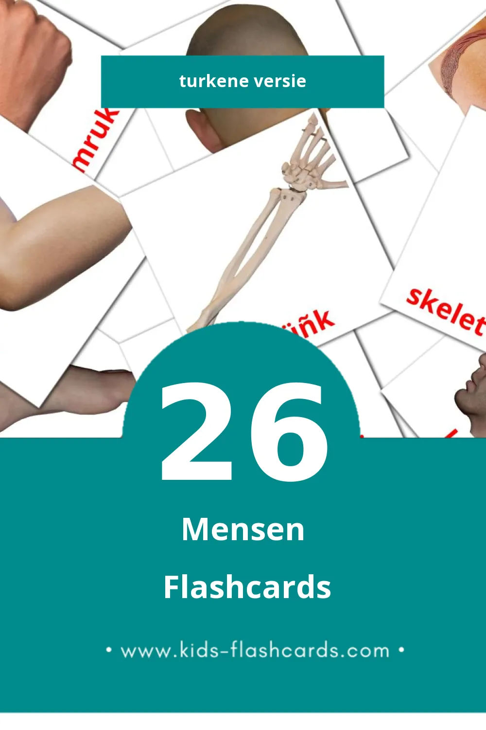 Visuele Adamlar Flashcards voor Kleuters (46 kaarten in het Turken)