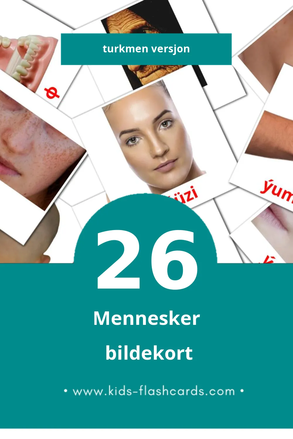 Visuelle Adamlar bildekort for småbarn (26 kort på Turkmen)