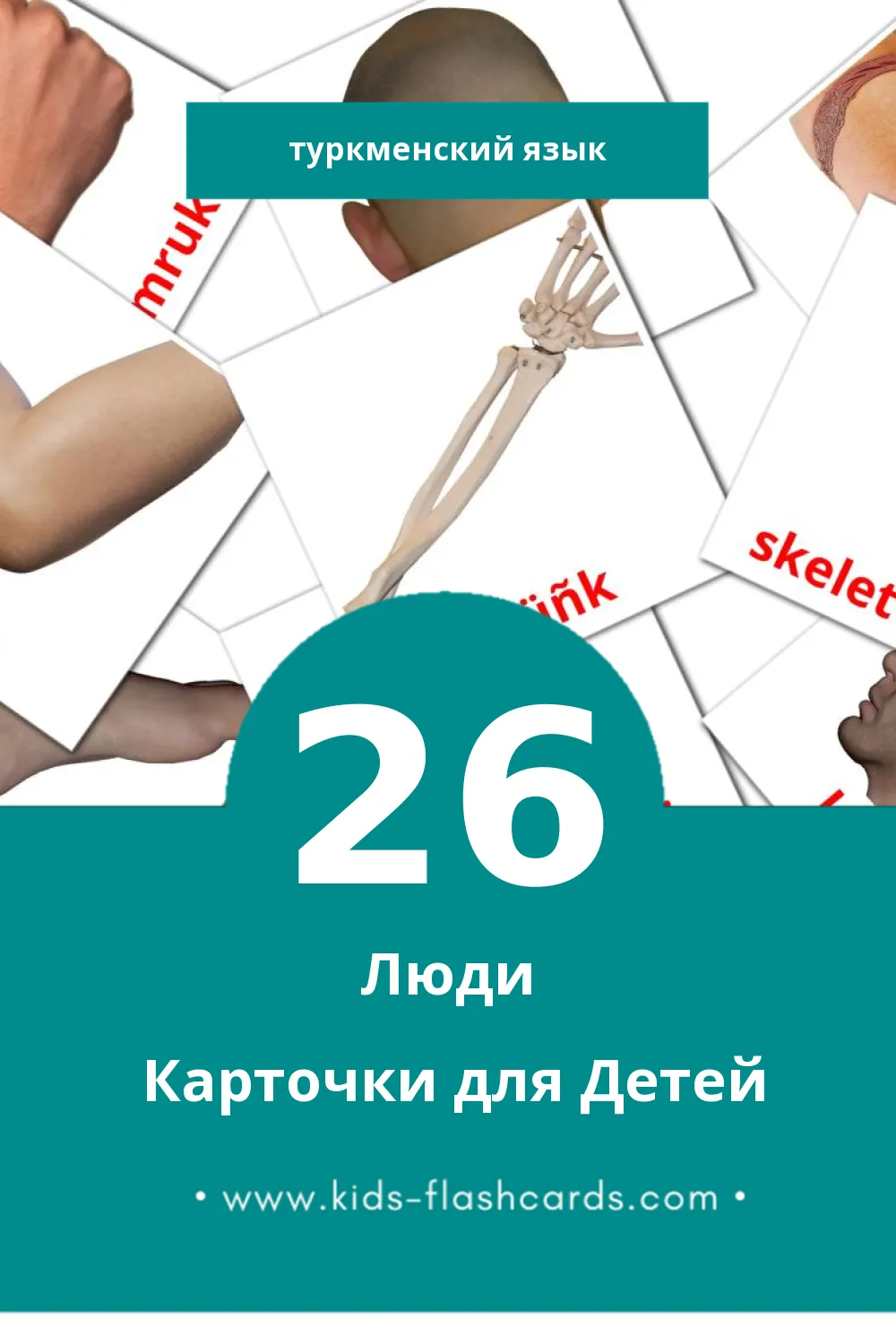 "Adamlar" - Визуальный Туркменском Словарь для Малышей (46 картинок)