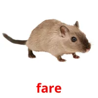 fare picture flashcards