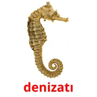 denizatı Bildkarteikarten