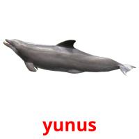 yunus card for translate