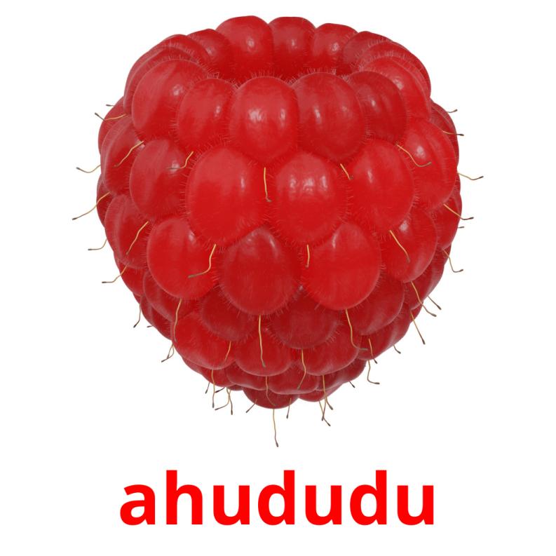 ahududu picture flashcards