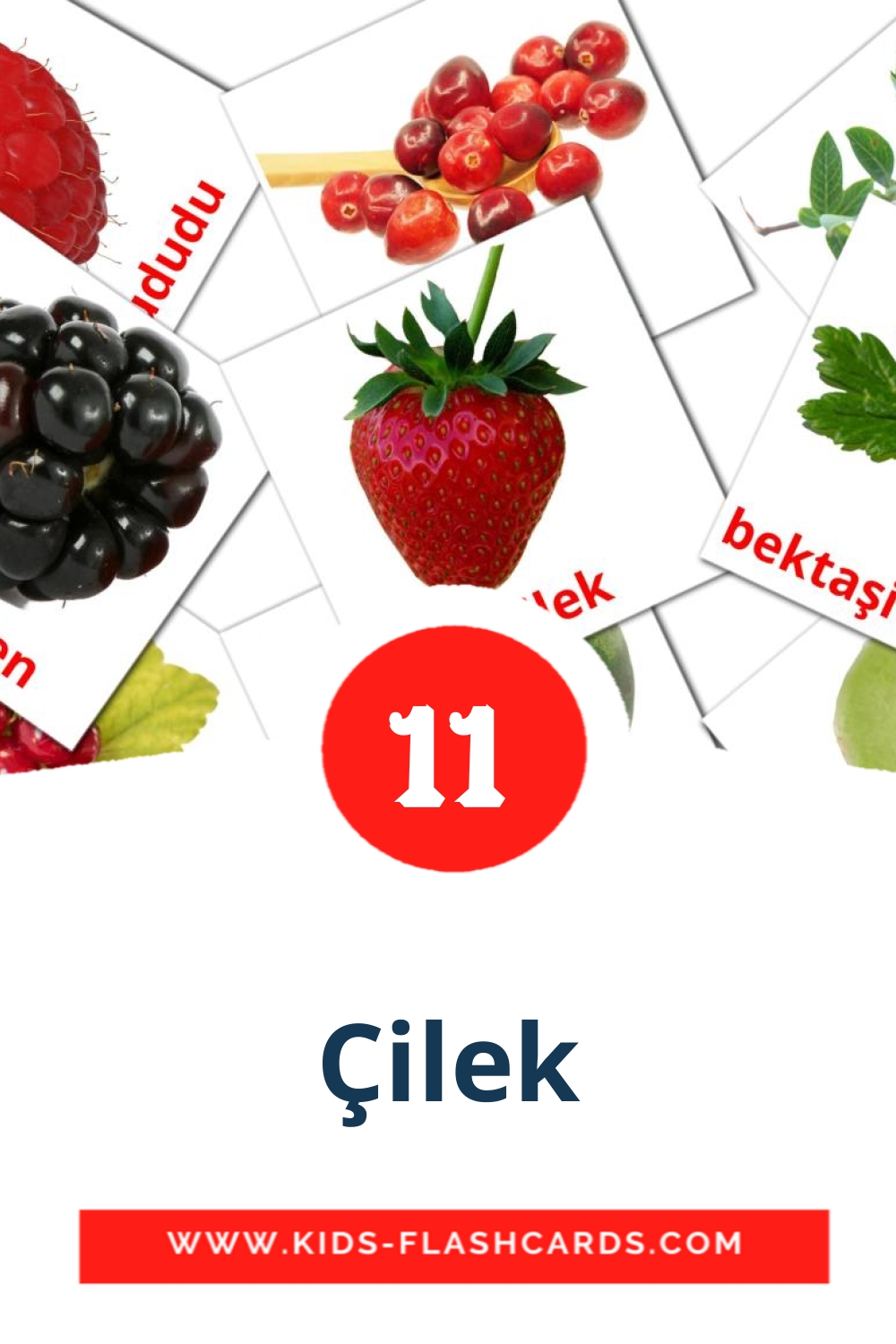 11 cartes illustrées de Çilek pour la maternelle en turc