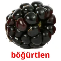 böğürtlen Bildkarteikarten