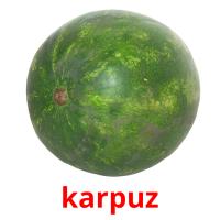 karpuz picture flashcards