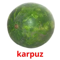 karpuz Bildkarteikarten