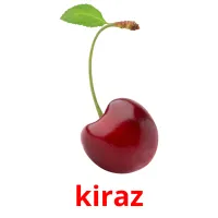 kiraz Bildkarteikarten