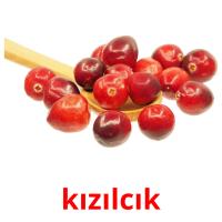 kızılcık picture flashcards