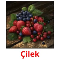 Çilek Bildkarteikarten