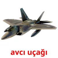 avcı uçağı карточки энциклопедических знаний