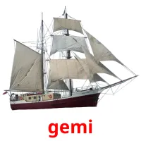 gemi flashcards illustrate