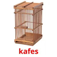 kafes Bildkarteikarten